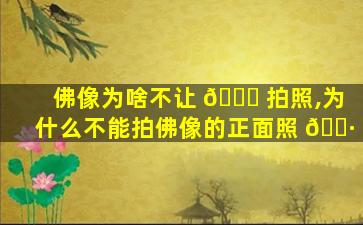 佛像为啥不让 🍀 拍照,为什么不能拍佛像的正面照 🌷